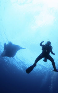 Gili Mimpang Diving | Alpha World Diving