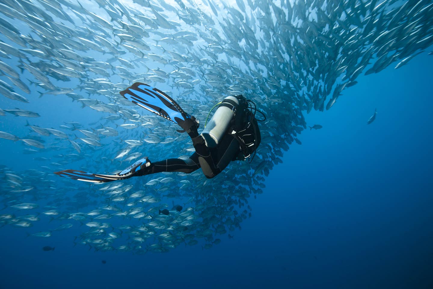 bali scuba dive trips