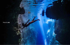 Snorkeling tour in derawan | Indonesia Diving trip | Alpha World Diving