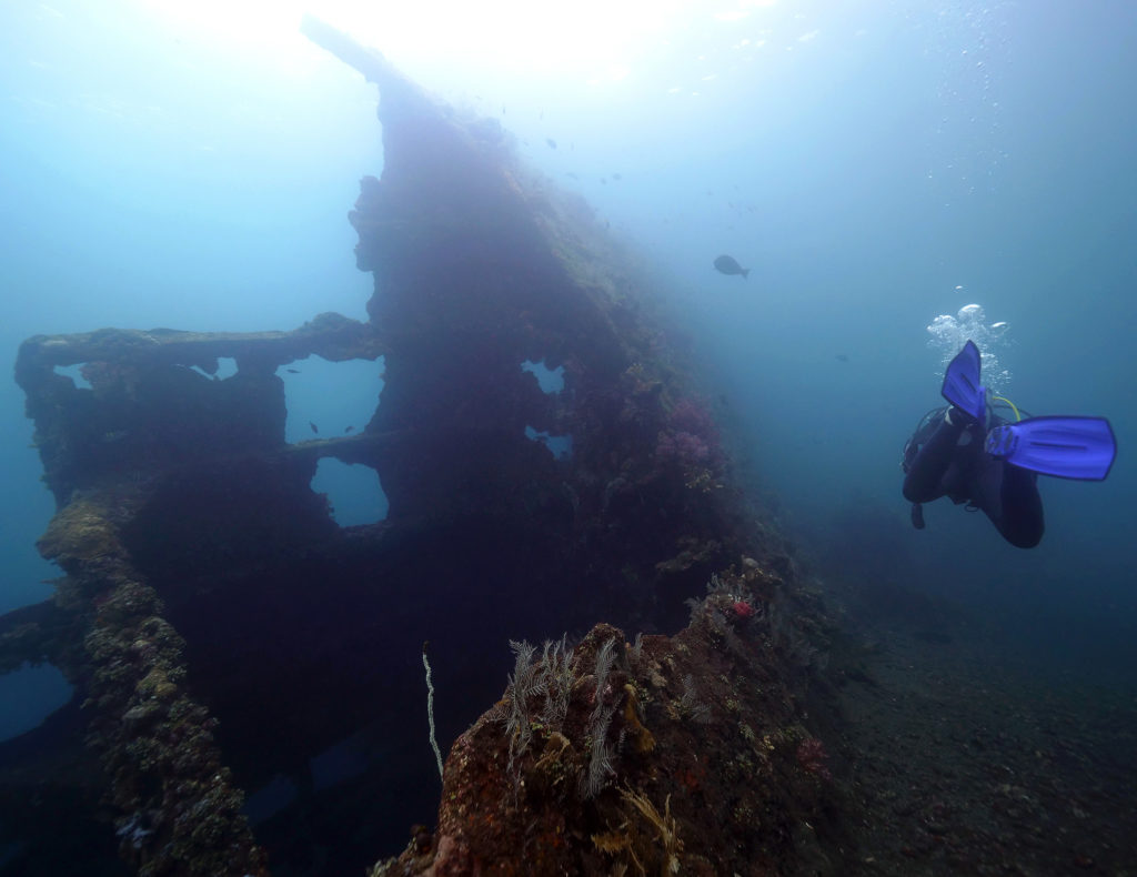 FAQ | Scuba diving and PADI Courses in Bali | Alpha World Diving