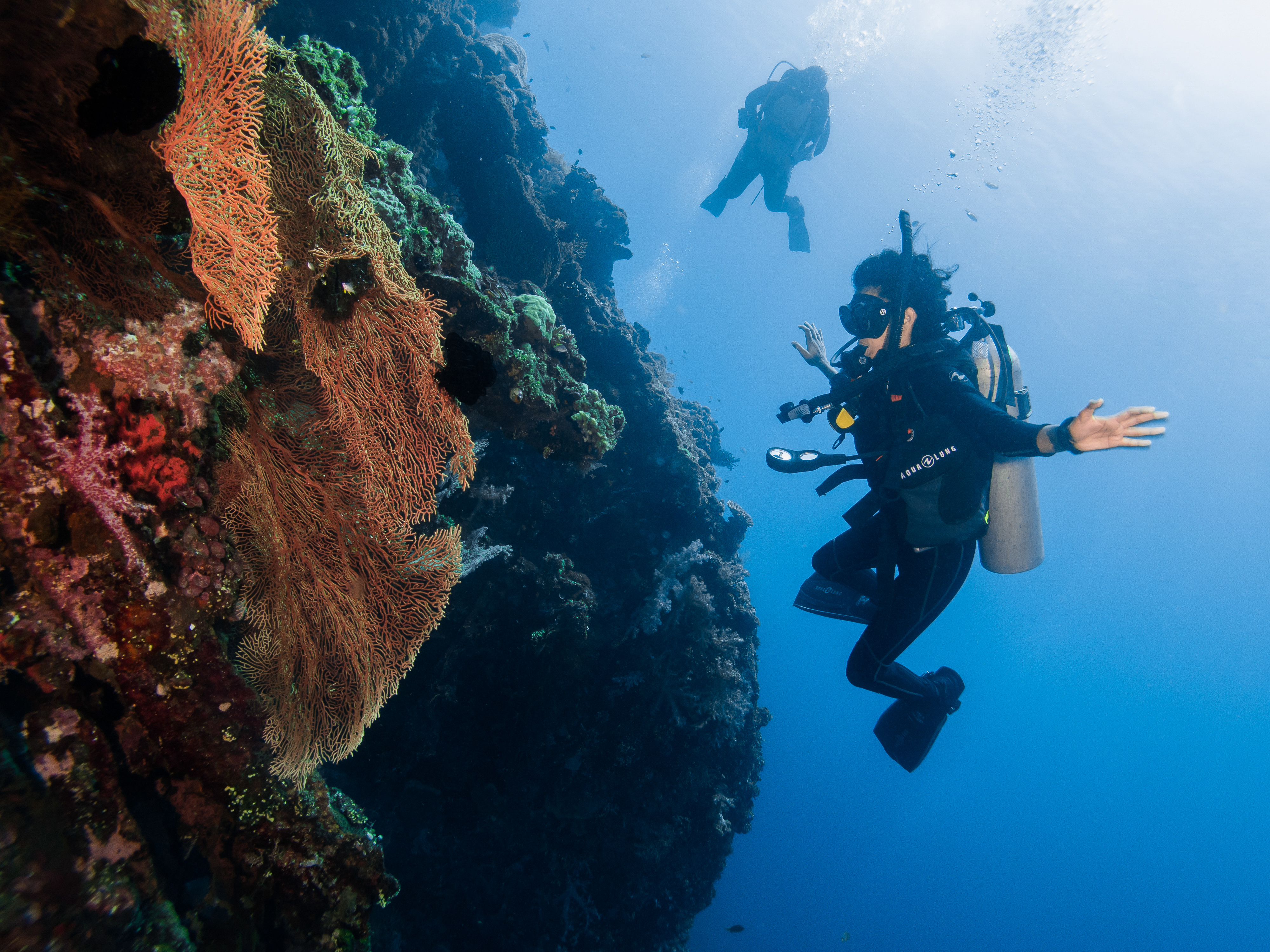 Things to Consider for An Incredible Scuba Diving  Trip in 
